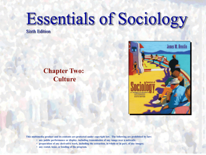 Essentials of sociology 7th edition pdf