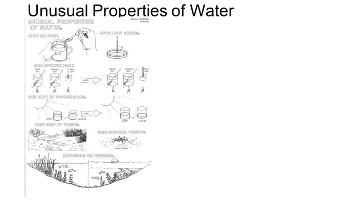 Properties of water worksheet with answers