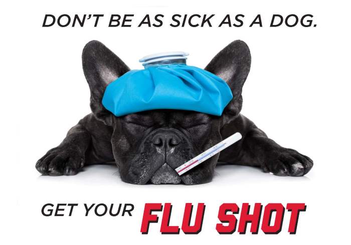 Flu vaccination shots provide external benefits thus